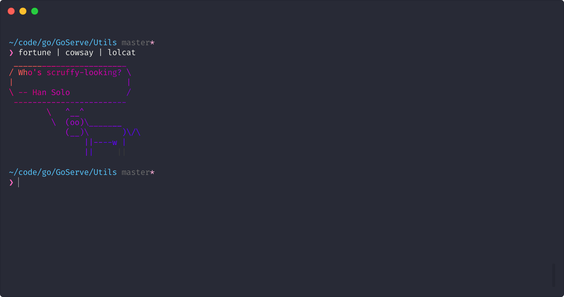 terminal screenshot